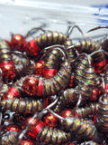 Simcoe Bug - Black Ice Series