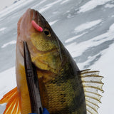 Simcoe Bug - FL Series