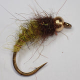 Caddisfly Larva