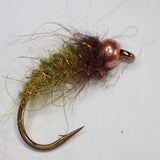 Caddisfly Larva