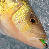 Simcoe Bug - FL Series