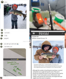 Simcoe Bug - FL Series