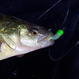 Simcoe Bug - FL Series