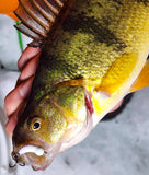 .Simcoe Bug - White UV
