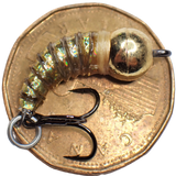.Simcoe Bug - Holographic