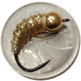 .Simcoe Bug - Holographic