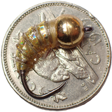 .Simcoe Bug - Holographic