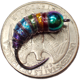 .Simcoe Bug - Holographic