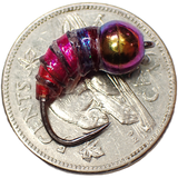 .Simcoe Bug - Holographic