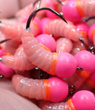 .Simcoe Bug - Fish Candy Series