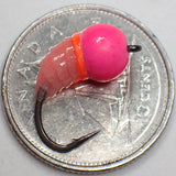 .Simcoe Bug - Fish Candy Series