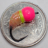 .Simcoe Bug - Fish Candy Series