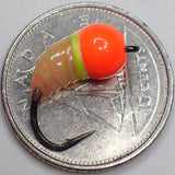 .Simcoe Bug - Fish Candy Series
