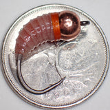 .Simcoe Bug - G-Waxy