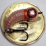 .Simcoe Bug - G-Waxy