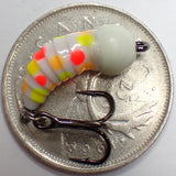.Simcoe Bug - WonderBug