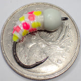 .Simcoe Bug - WonderBug