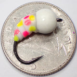 .Simcoe Bug - WonderBug