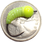 Simcoe Bug - Perch Candy series