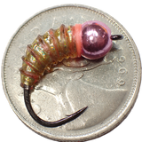 .Simcoe Bug - Holographic