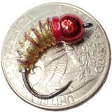 .Simcoe Bug - Holographic