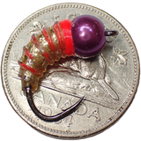 .Simcoe Bug - Holographic