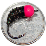.Simcoe Bug - Black Ice Series