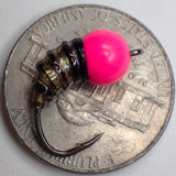 .Simcoe Bug - Black Ice Series